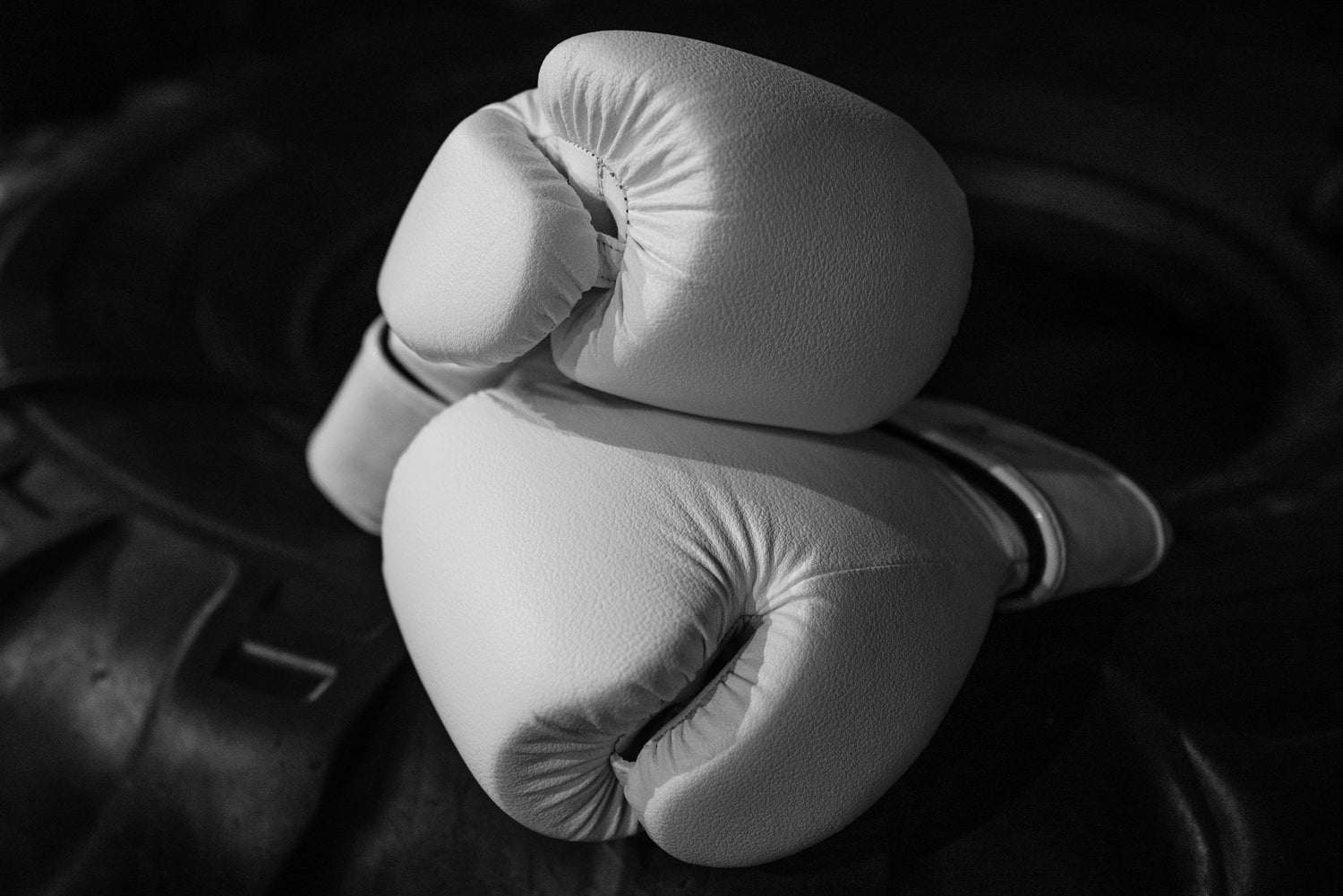 Boxing Gloves